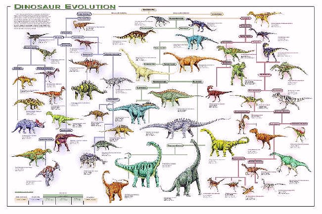 planet dinosaur all dinosaurs