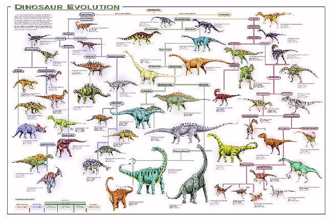 all dinosaurs