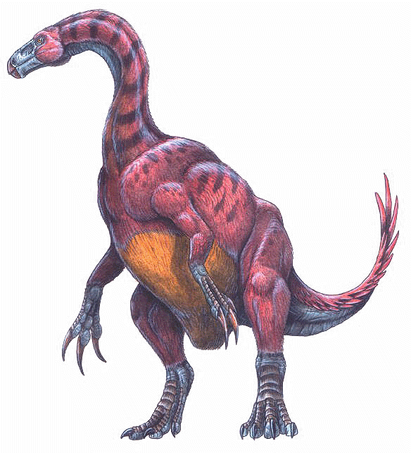 http://www.dinosaur-world.com/feathered_dinosaurs/species/alxasaurus_elesitaiensis.gif