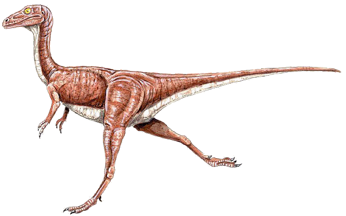 Resultado de imagen para Compsognathus gif