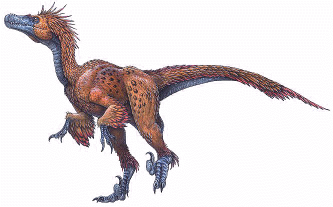 http://www.dinosaur-world.com/feathered_dinosaurs/species/deinonychus_antirrhopus.gif