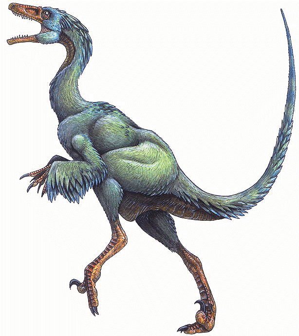 troodon_formosus.gif