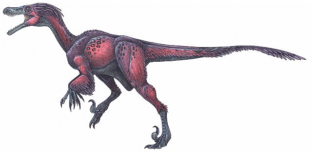 velociraptor_mongoliensis.gif