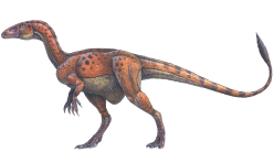 sinosauropteryx_prima-small.gif