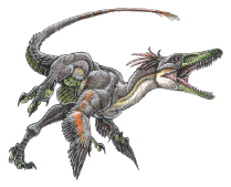 http://www.dinosaur-world.com/feathered_dinosaurs/thumbs/thumb-buitreraptor%20gonzalezorum-web.gif