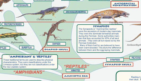 a geological time chart.