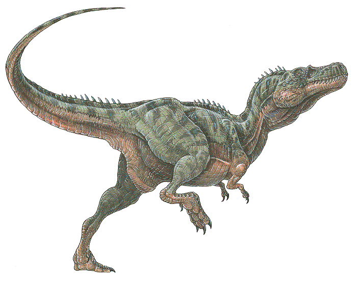 alectrosaurus_olseni.gif