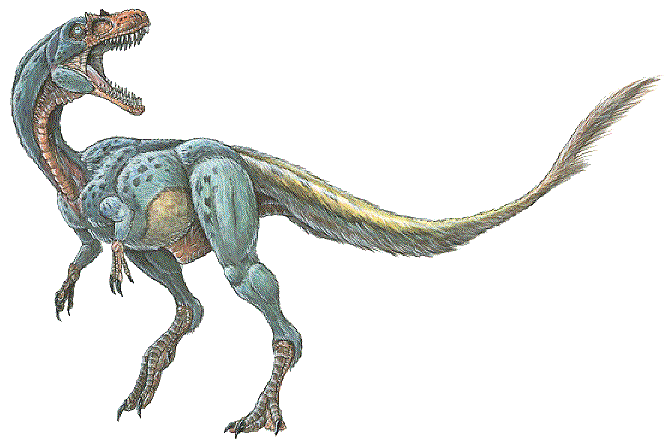 http://www.dinosaur-world.com/tyrannosaurs/images/dilong_paradoxus.gif