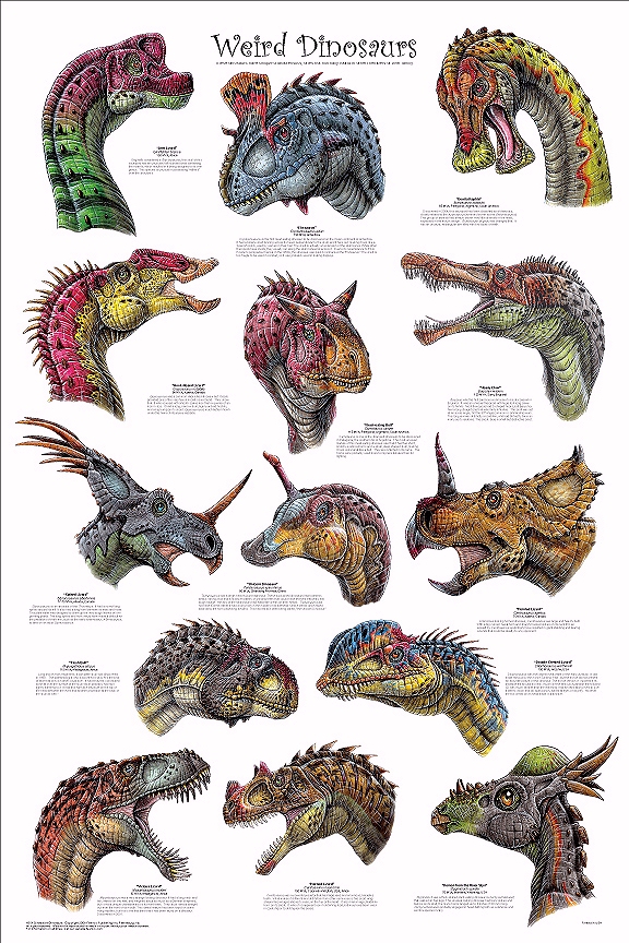 Pictures Of Dinosaurs With Names. i#39;m talkin about dinosaurs