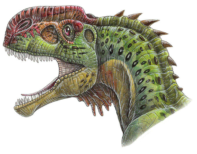 Monolophosaurus jiangi dinosaur