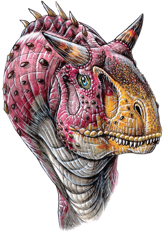 Carnotaurus sastrei dinosaur