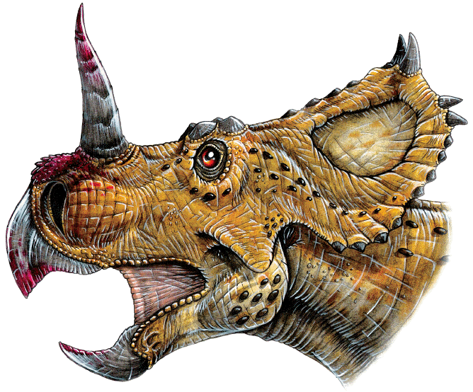 Centrosaurus apertus dinosaur