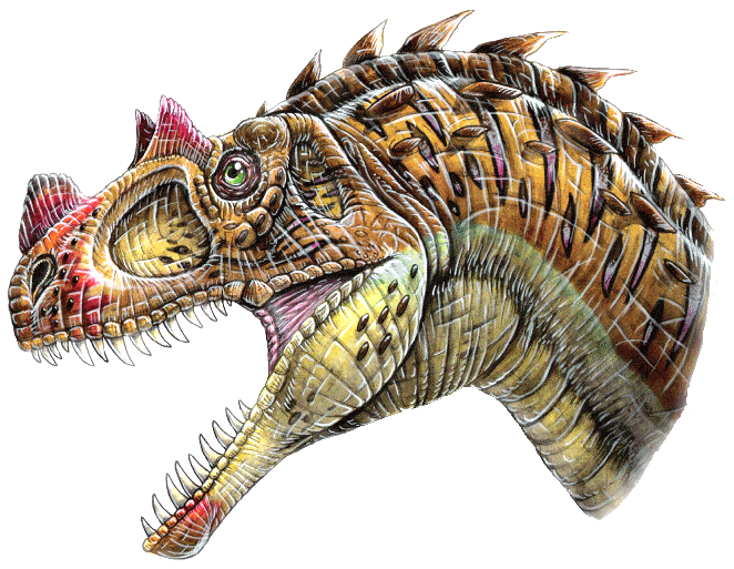 Ceratosaurus nasicornis dinosaur