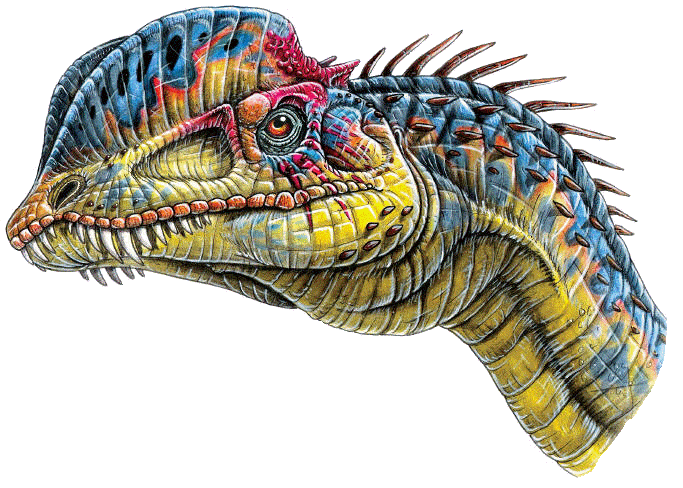 Dilophosaurus wertherelli�dinosaur