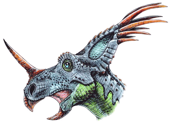 Styracosaurus albertensis dinosaur