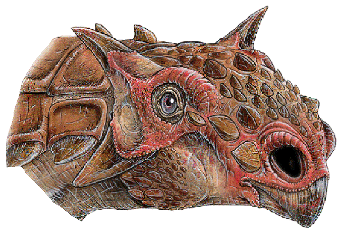 Tarchia giganteadinosaur