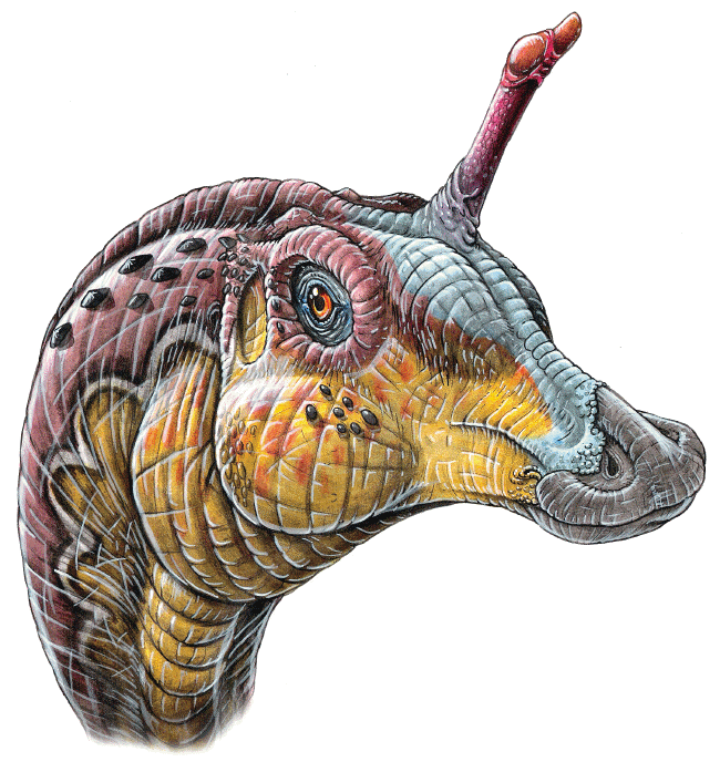 Tsintaosaurus spinorhinus dinosaur